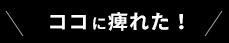 ここがポイント